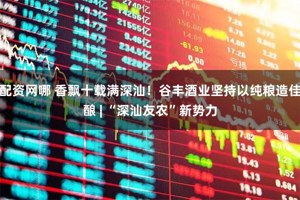 配资网哪 香飘十载满深汕！谷丰酒业坚持以纯粮造佳酿 | “深汕友农”新势力