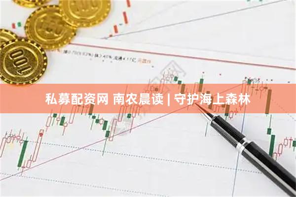 私募配资网 南农晨读 | 守护海上森林